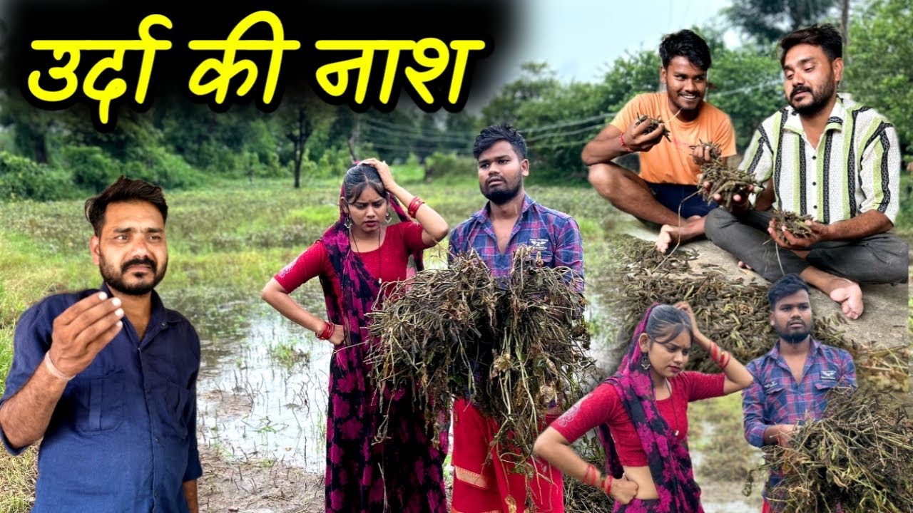 उर्दा की नाश - बुंदेली कॉमेडी | Urda Ki Nash - Bundeli Comedy | Kakku Ki Comedy |