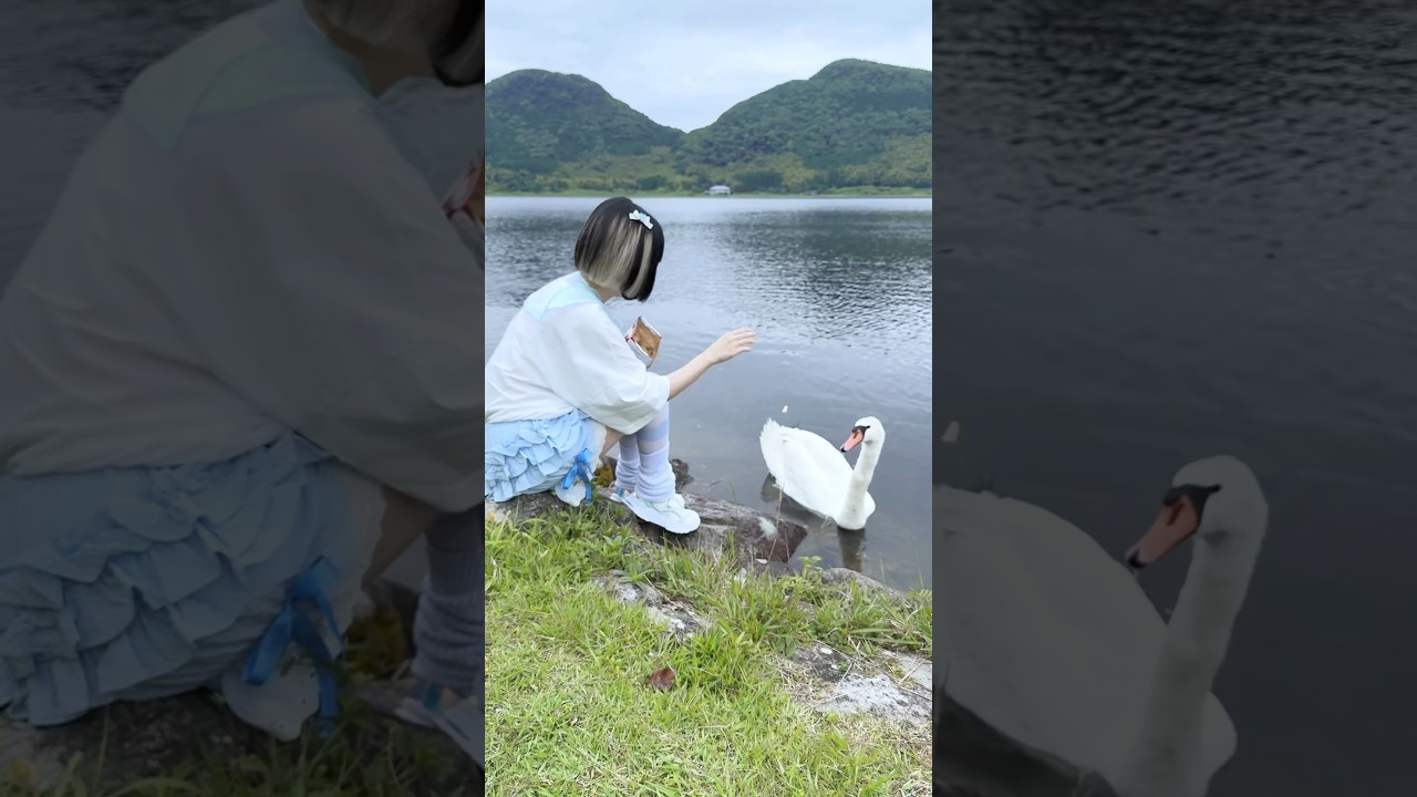 まさかこんな事になるとは&hellip;&hellip;&hellip;&hellip;&hellip;&hellip;&hellip;&hellip;#shorts #天使界隈 #サブカル