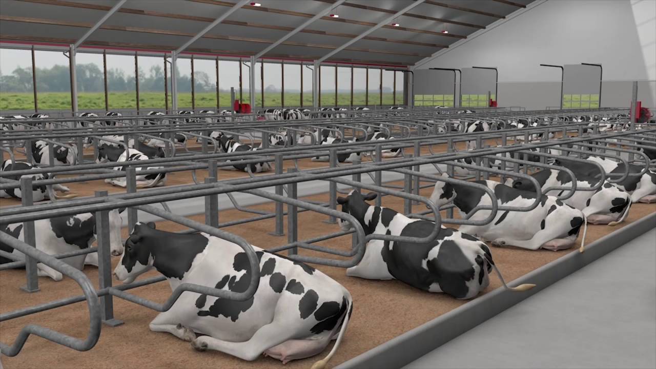 Lely XL - Principios para tambos estabulados grandes