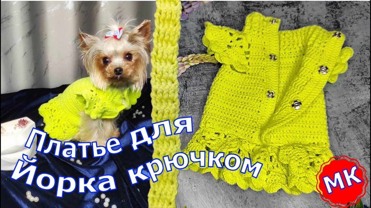 Dress for a dog by Crochet | Платье 