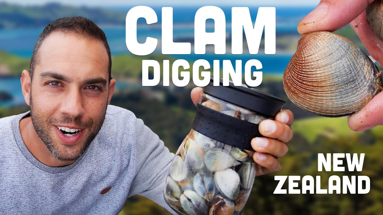 Clam/Cockle Digging in New Zealand! Kia Ora 🇳🇿