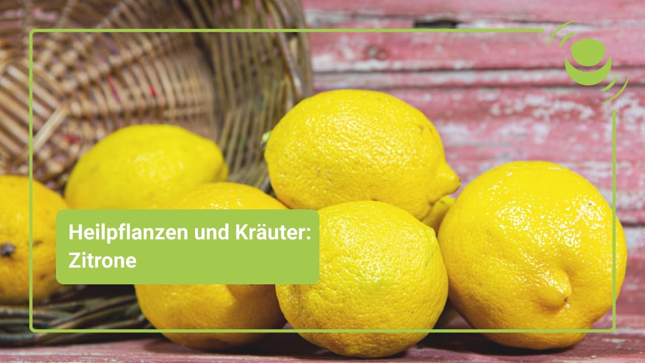 Zitrone &ndash; Alles, was du &uuml;ber ihre Wirkung wissen solltest.