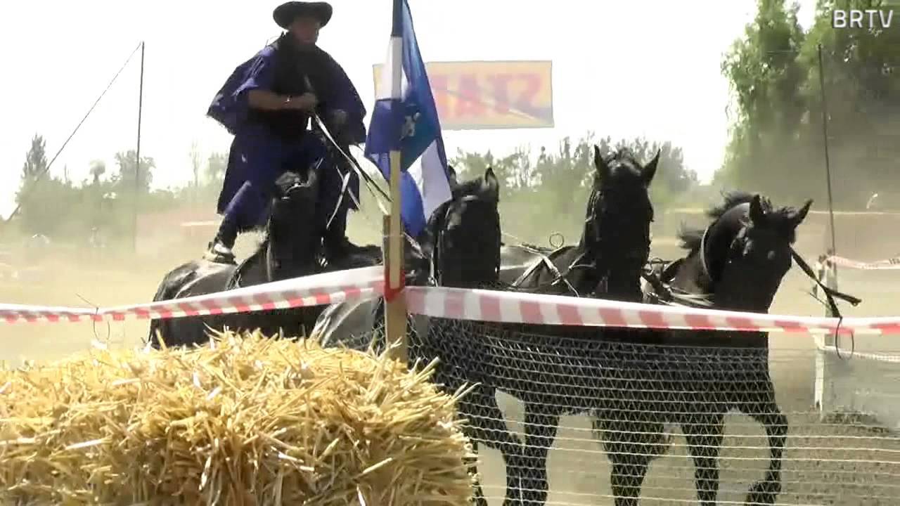 Borsodi Vágta 2015 - Hernádnémeti