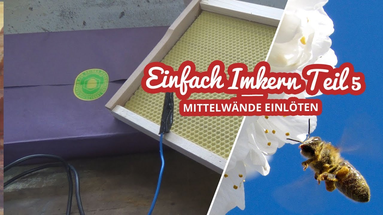 Einfach Imkern Teil 5 | Mittelwände einlöten