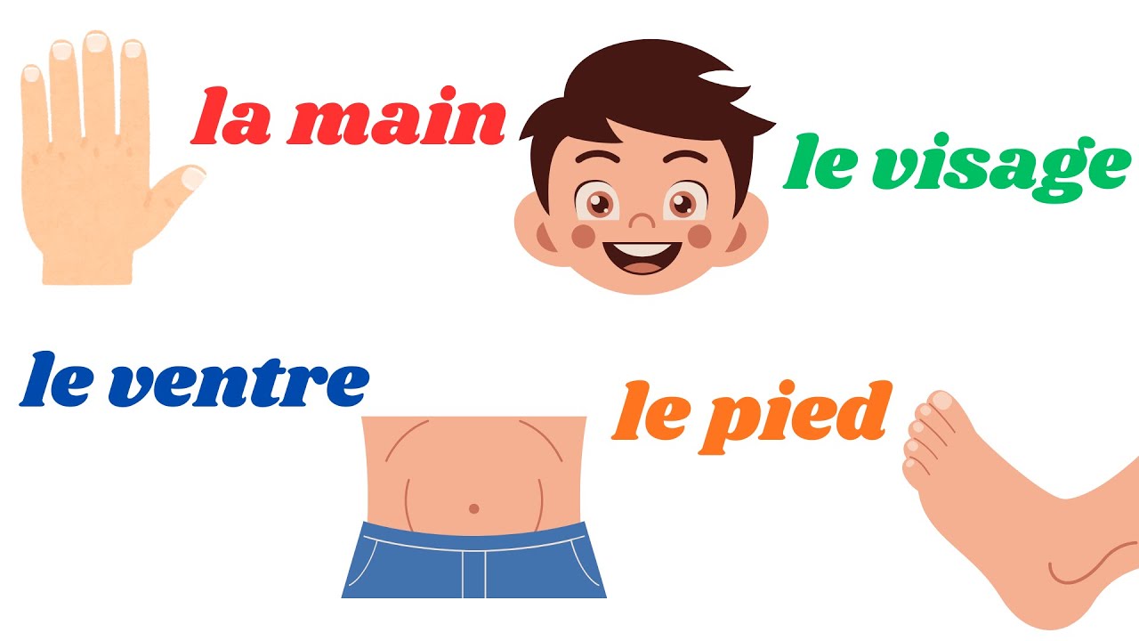 Learn French Easily | French Body Parts | Apprendre le français | Vocabulaire du corps humain