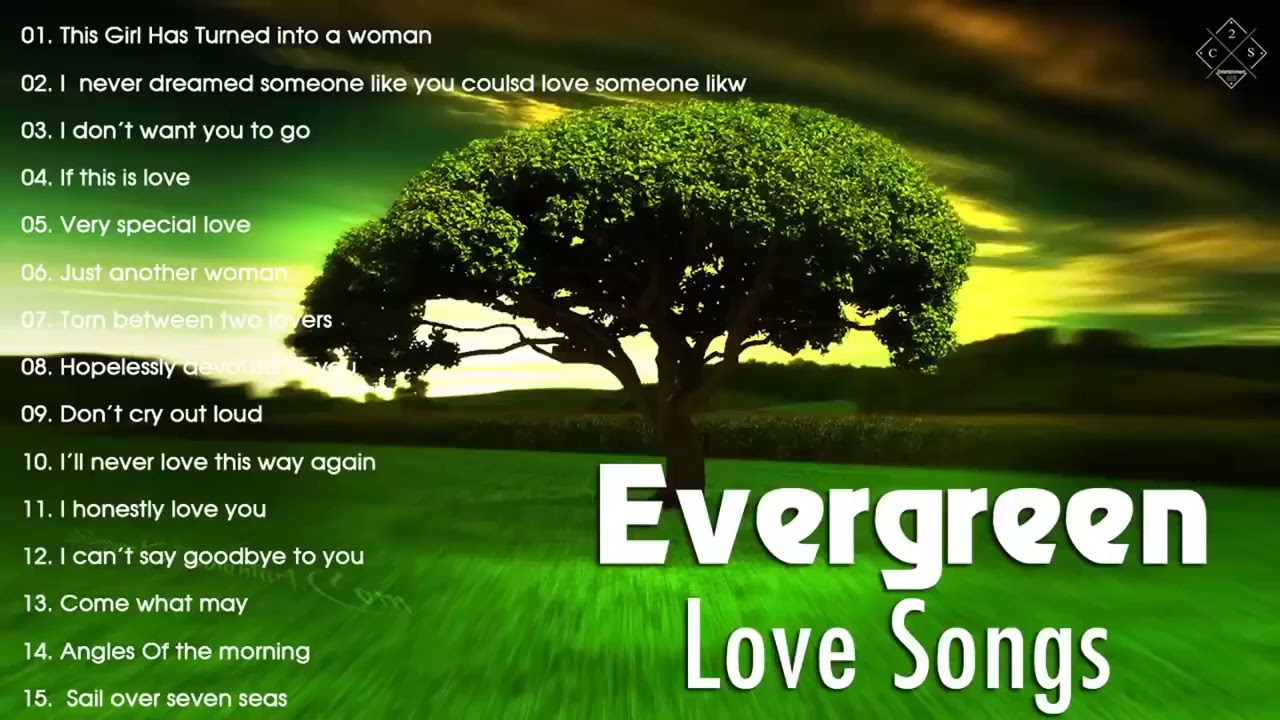 Best Evergreen Love Songs Memories | Nonstop Cruisin Romantic Love Song Collection HD