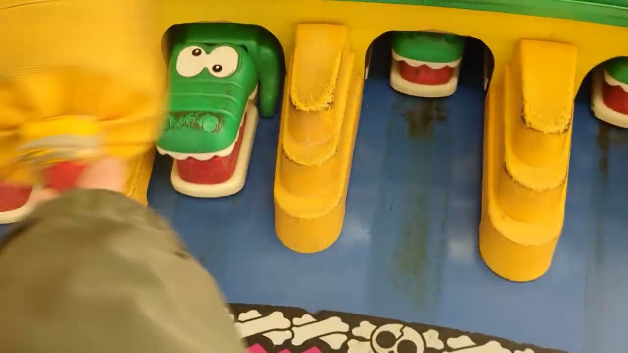 ワニ