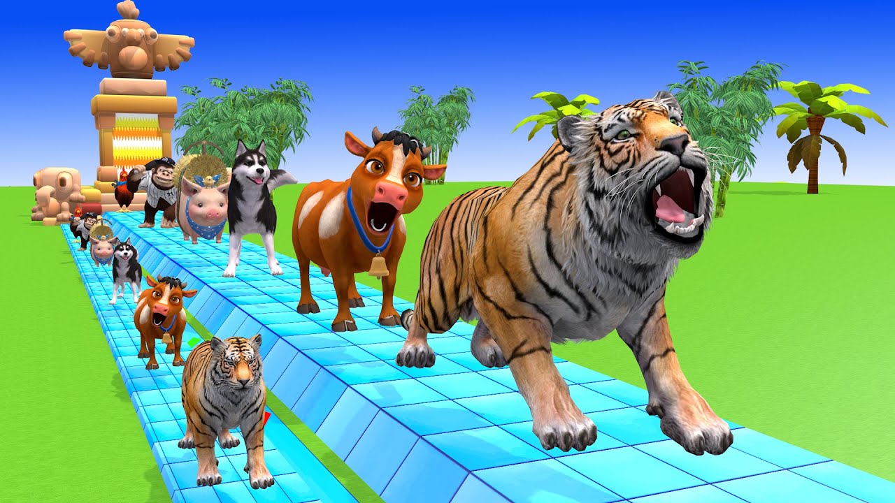 Long Slide Game With Cow Elephant Gorilla Hippopotamus Tiger 3d Animal Game Funny 3d Animals