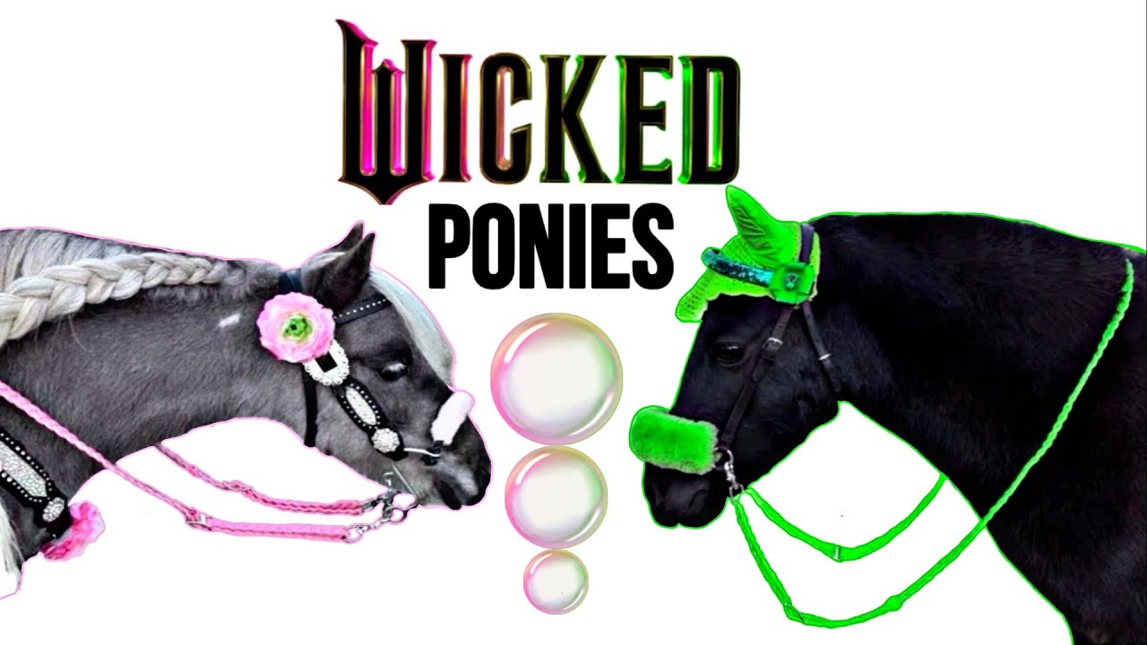 Braiding and Saddling my WICKED Ponies 
