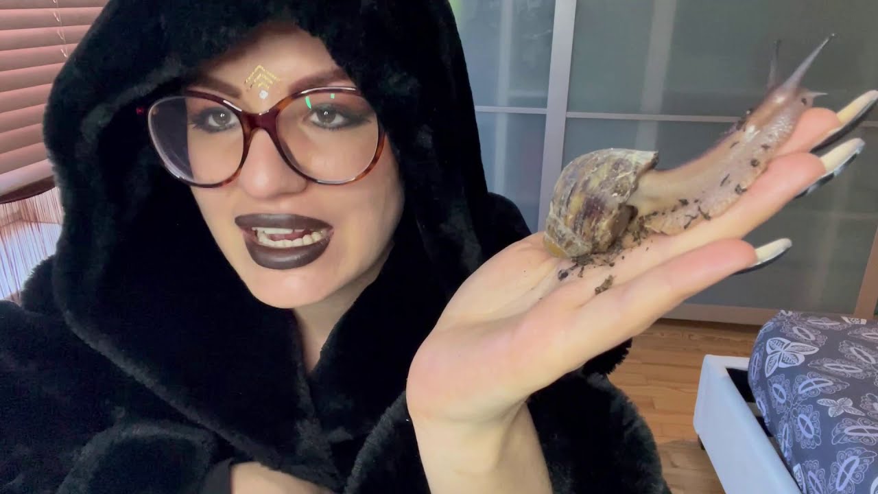 Achatschnecken Haltung - Schnecken Krankheiten & Hilfe!