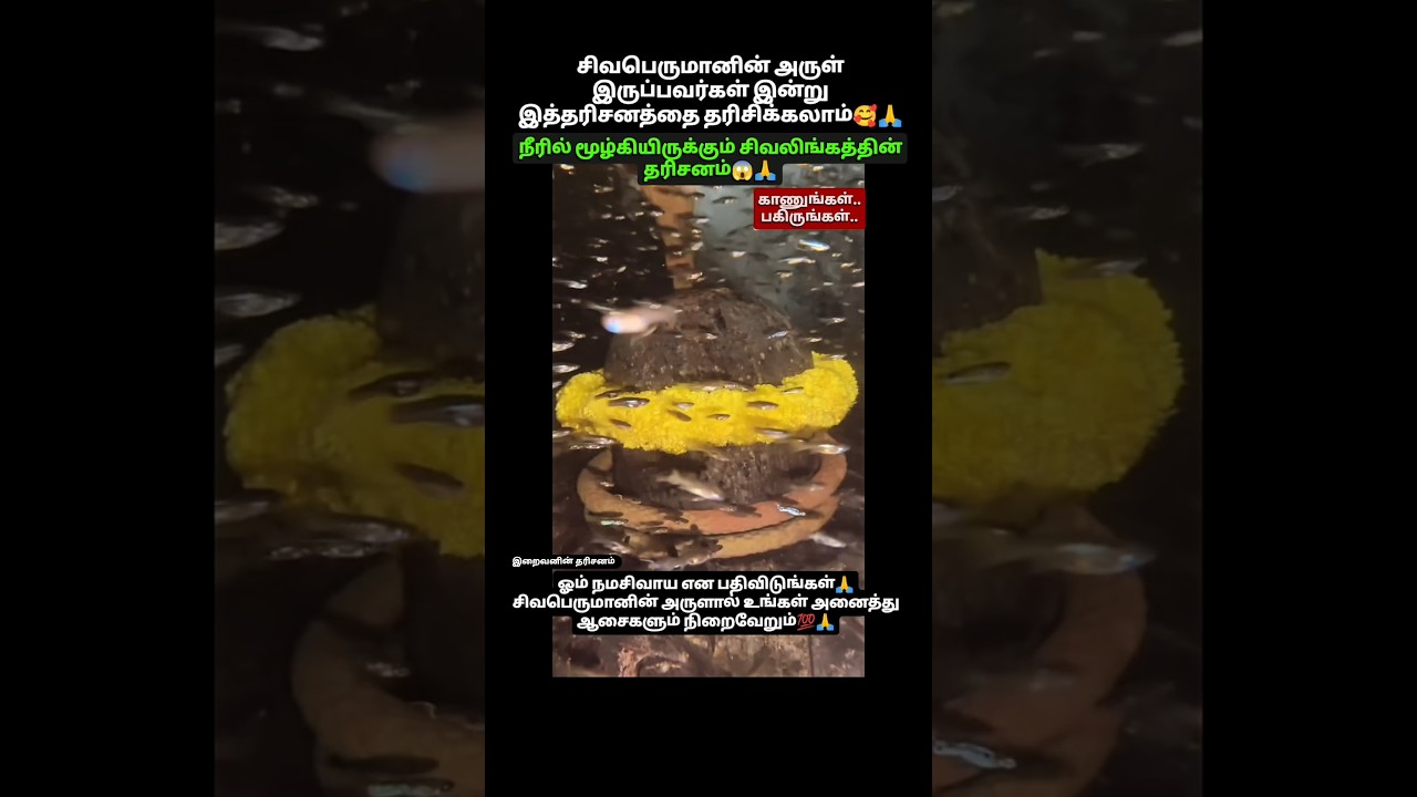 நீரில் மூழ்கியிருக்கும் சிவலிங்கத்தின் தரிசனம்😱🙏#இறைவனின் தரிசனம்