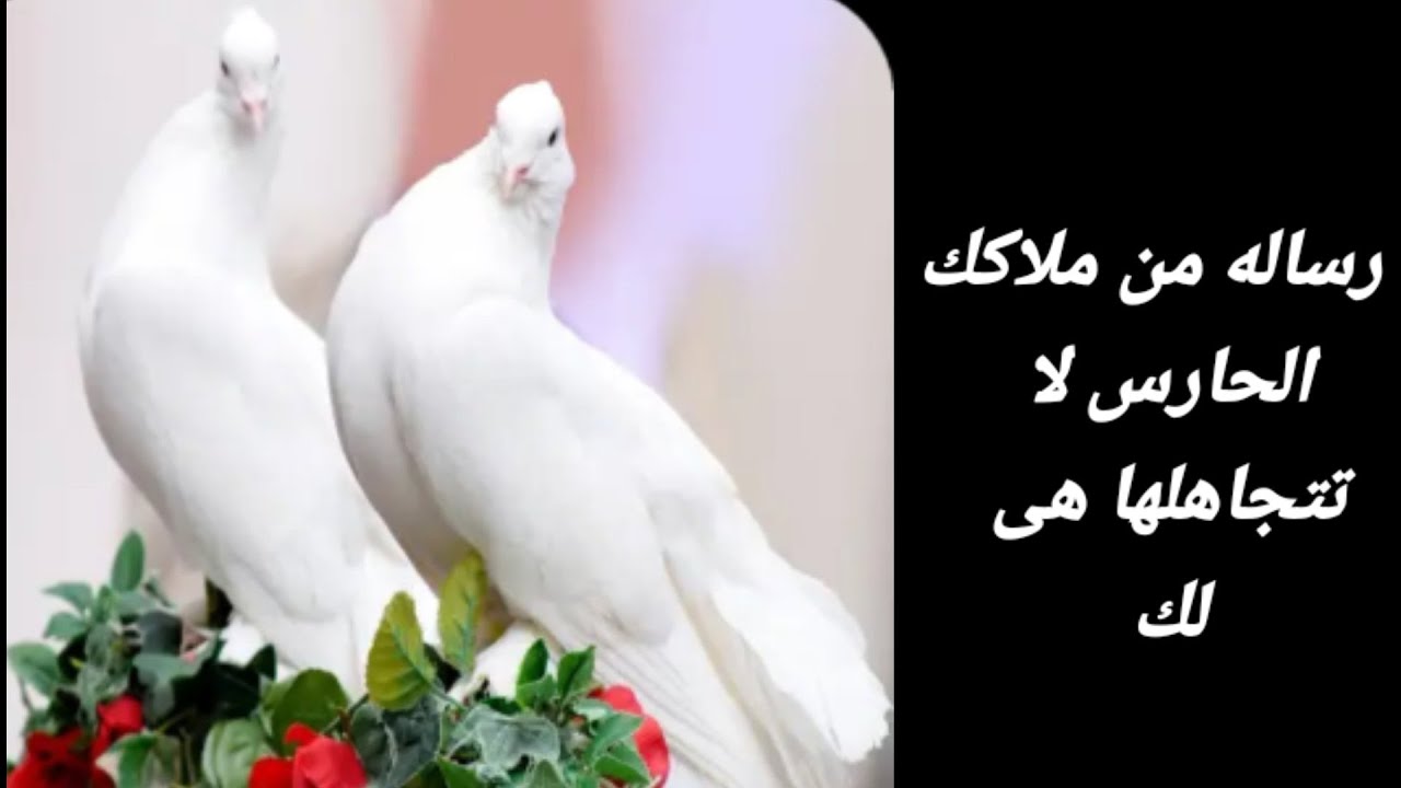 رساله من ملاكك الحارس لا تتجاهلها هى لك