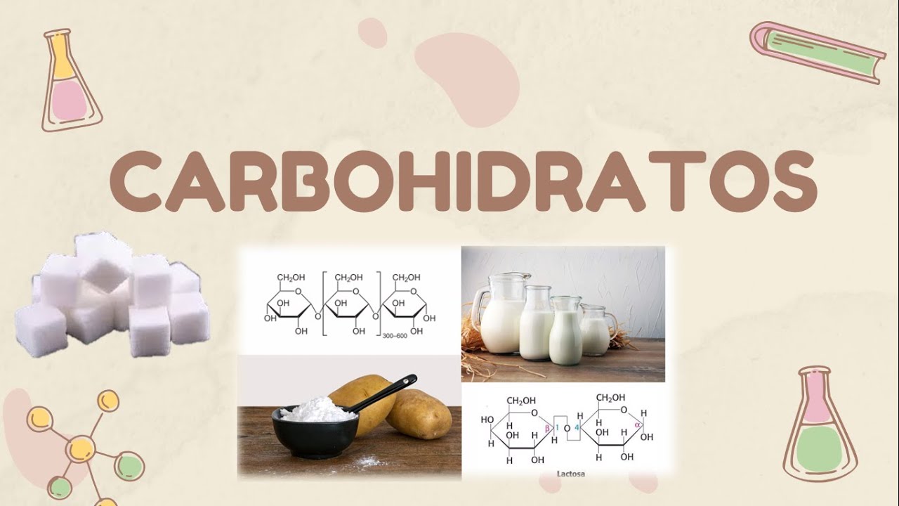 Carbohidratos | Bioquímica