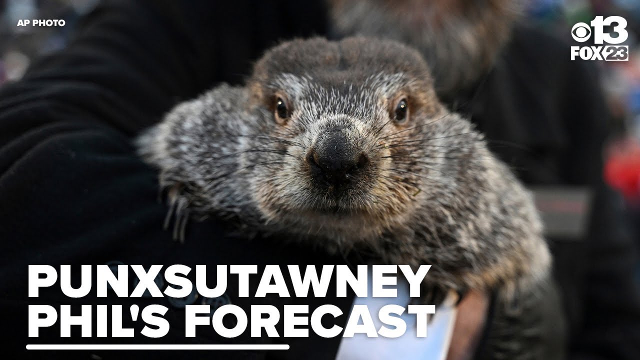 Groundhog Day puts Punxsutawney Phil's forecast about winter's length in spotlight