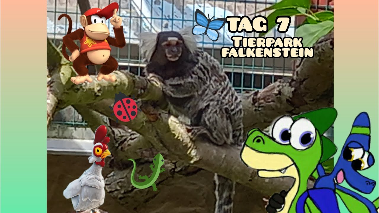 Tag 7 : Tierpark Falkenstein