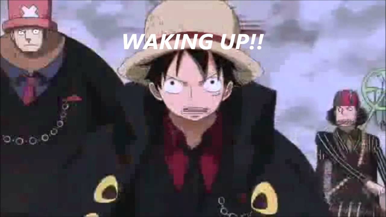 One piece - awake and alive