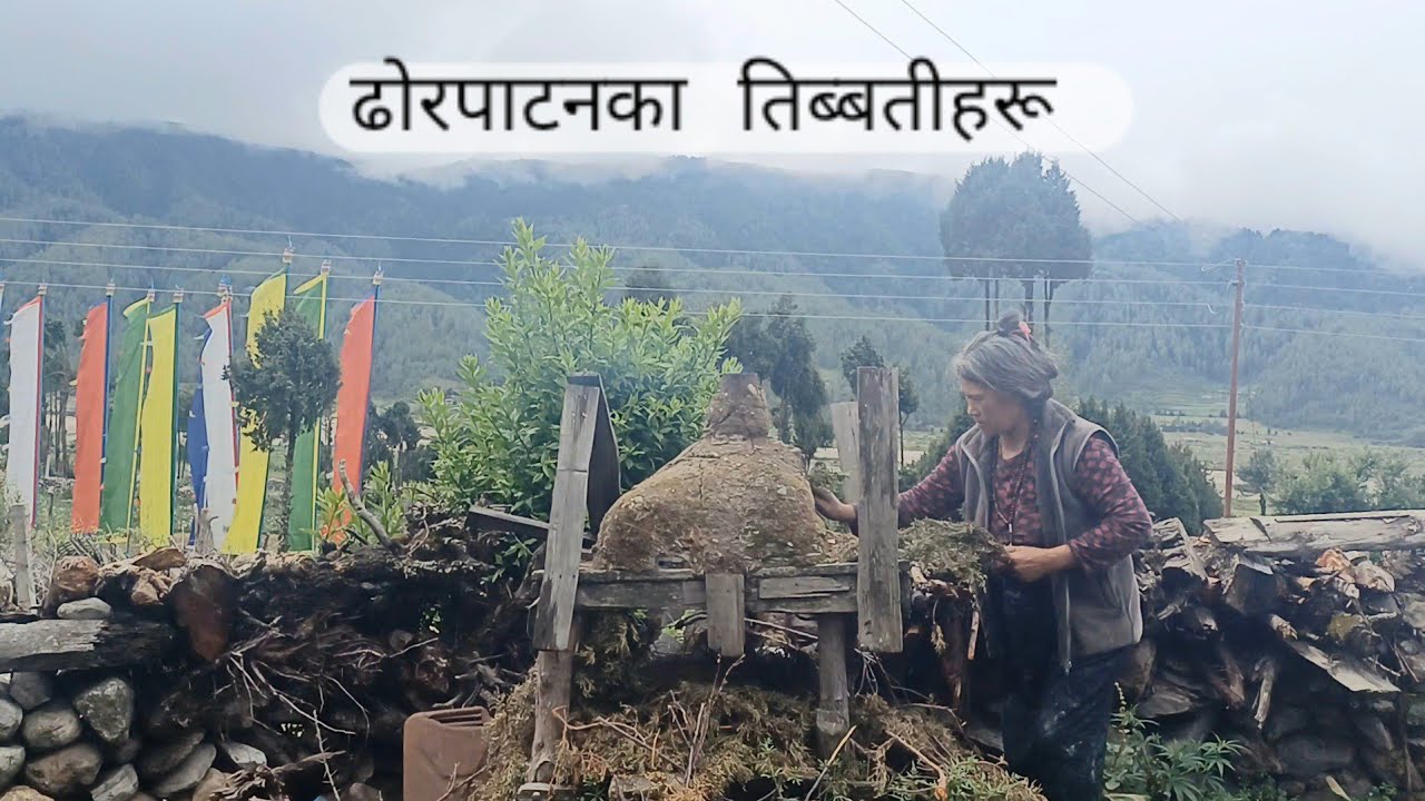 Tibetan Refugees in Dhorpatan || ཏོ་ཨར་ཕ་ཐན་གྱི་བོད་ཀྱི་ཡུལ་གྱར་བ།