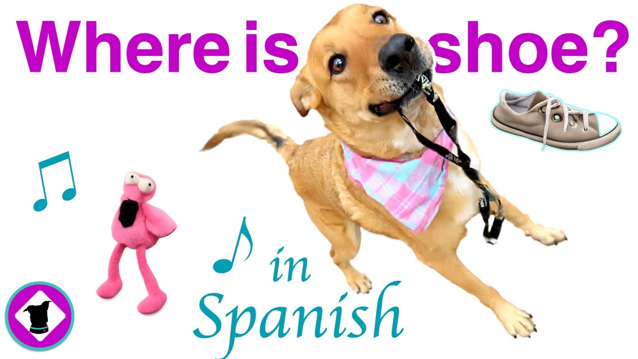 Acacia Hunts for my Zapato, but Finds a Pato! - ¿Dónde Está? Spanish Song