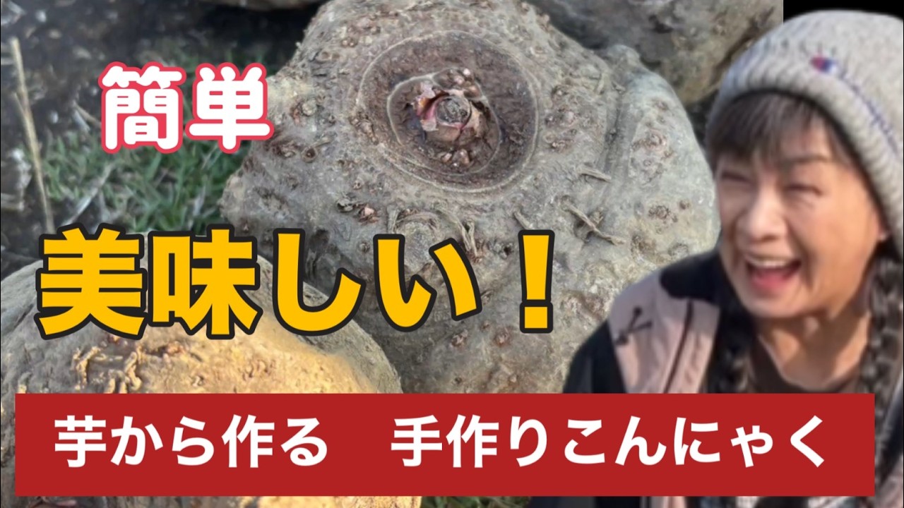 【コンニャク作り】芋から作る手作りのこんにゃくは最高に美味しい