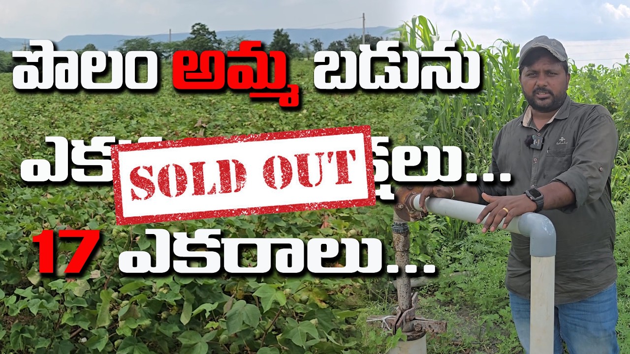 17 Acres Agriculture Land Sale in AP | ఎకరాకు ₹9.5 లక్షలు మాత్రమే! @NandhuRealaEstate