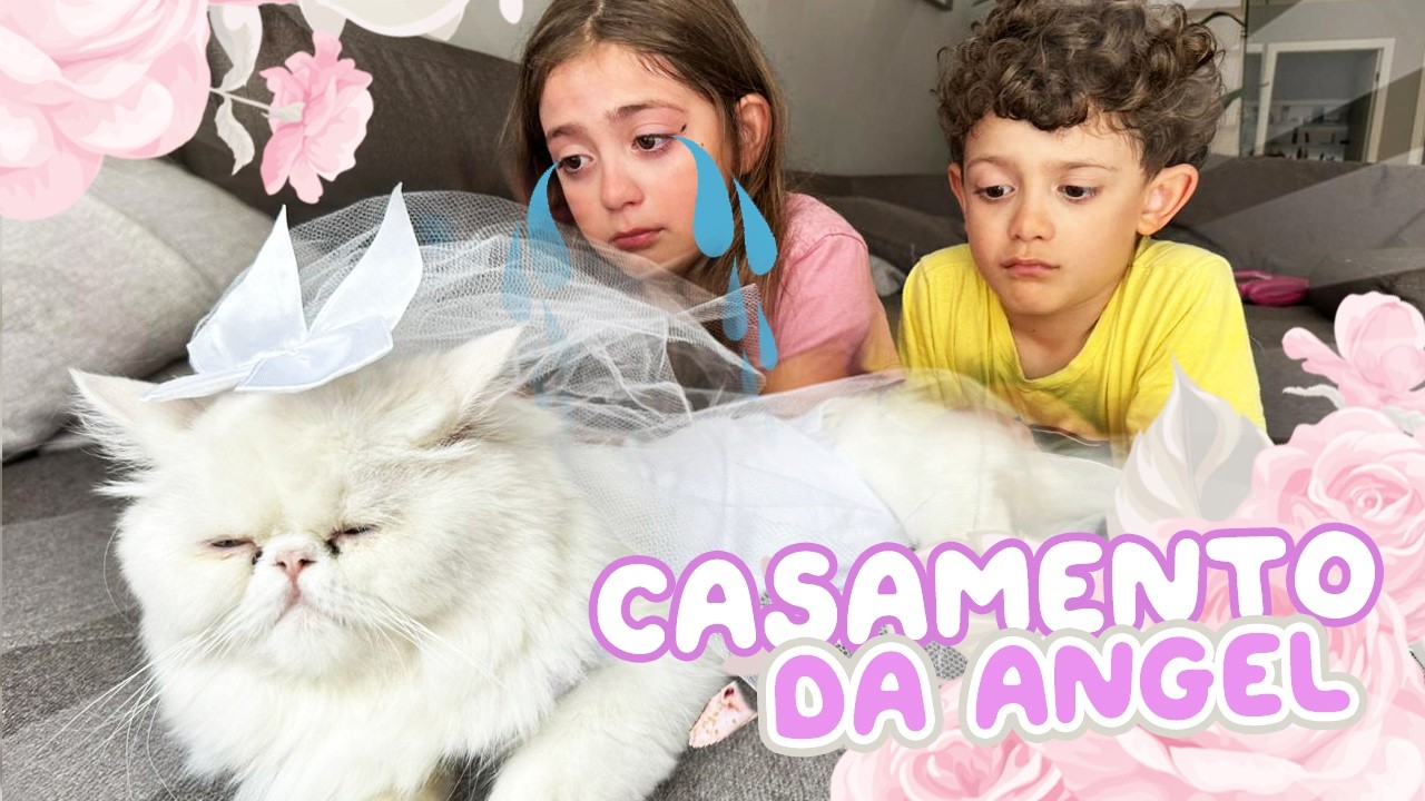 O CASAMENTO DA GATA ANGEL