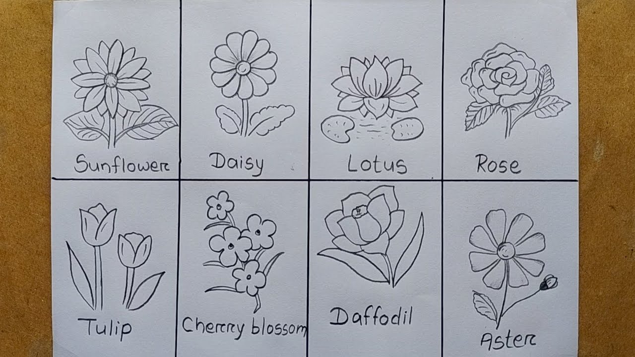 Different types of Flowers drawing easy| Flower chart making| 8 Different types Flower drawing easy
