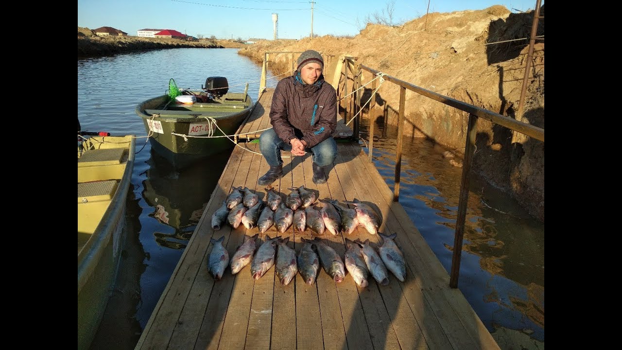 Рыбалка в Казахстане село Ганюшкино (сом, жерех и раки)