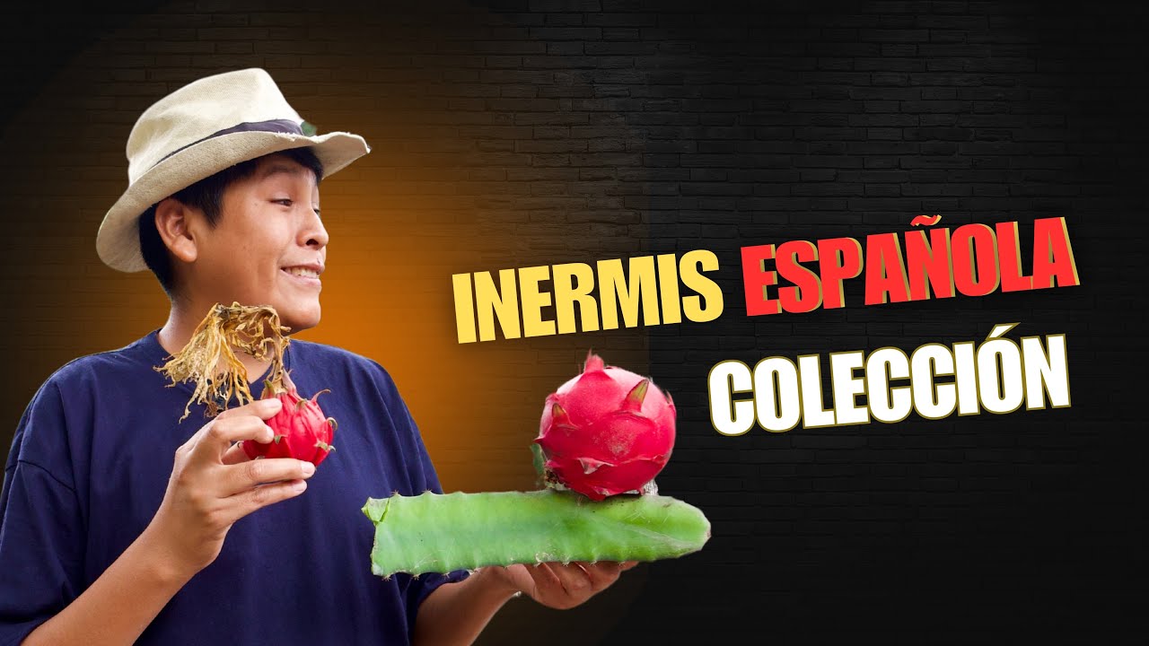 ¿decepcionante? INERMIS ESPAÑOLA, Marmel 1 y Orange Chinese 🌵