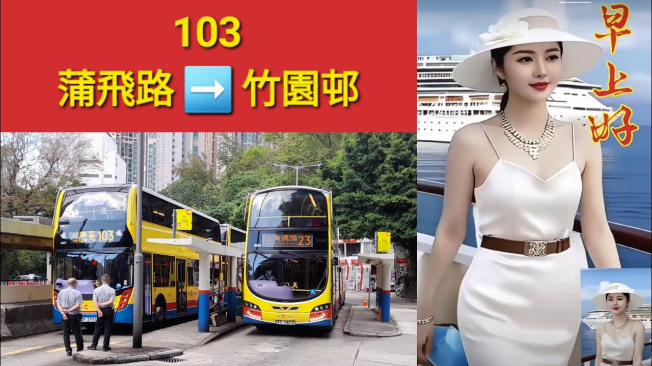 Hong Kong Bus CTB 41117 @ 103 城巴 Alexander Dennis Enviro500 MMC New Facelift 蒲飛路 竹園邨