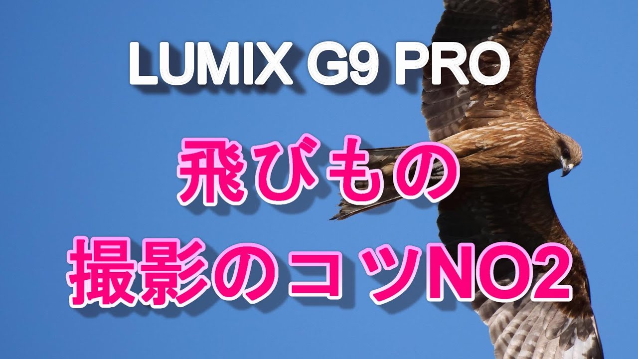 LUMIX G9 PRO 飛びもの撮影のコツ NO2（照準器の設定など）