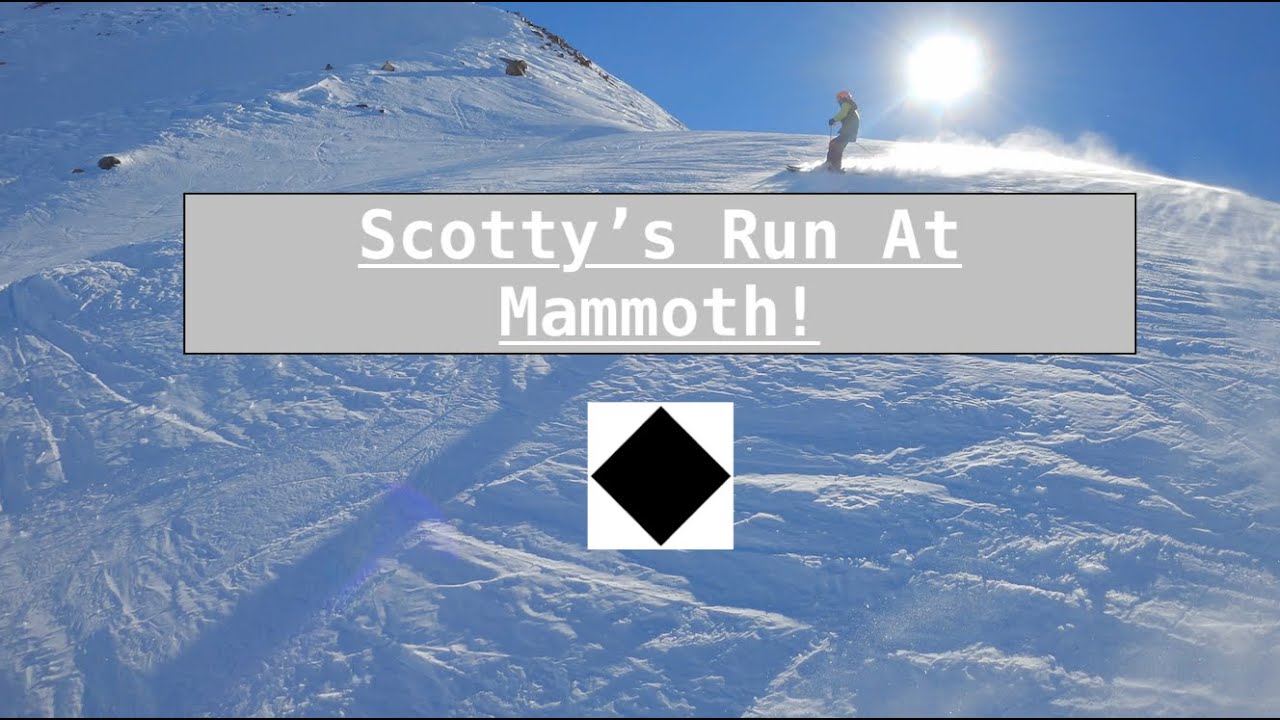 Scotty's Mammoth 2021