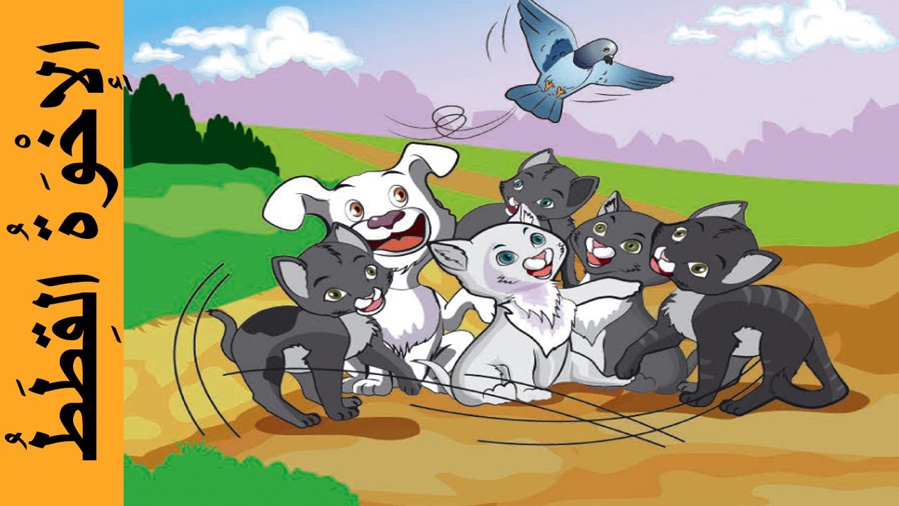 الإخوة القطط - في رحاب اللغة العربية المستوى الثاني / Cat Brothers