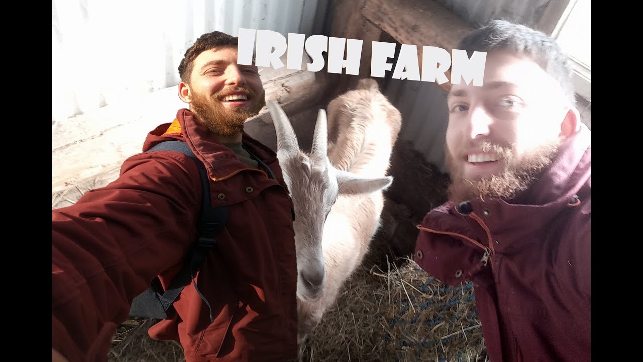 Vivere in una Fattoria Irlandese per 3 Mesi - Life in an Irish Farm