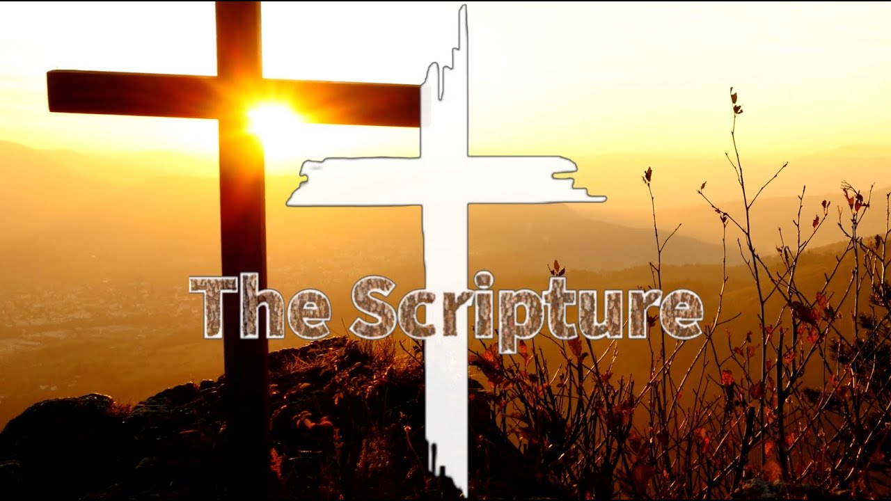 The Scripture - Want so lief het God die wêreld gehad - Joh 