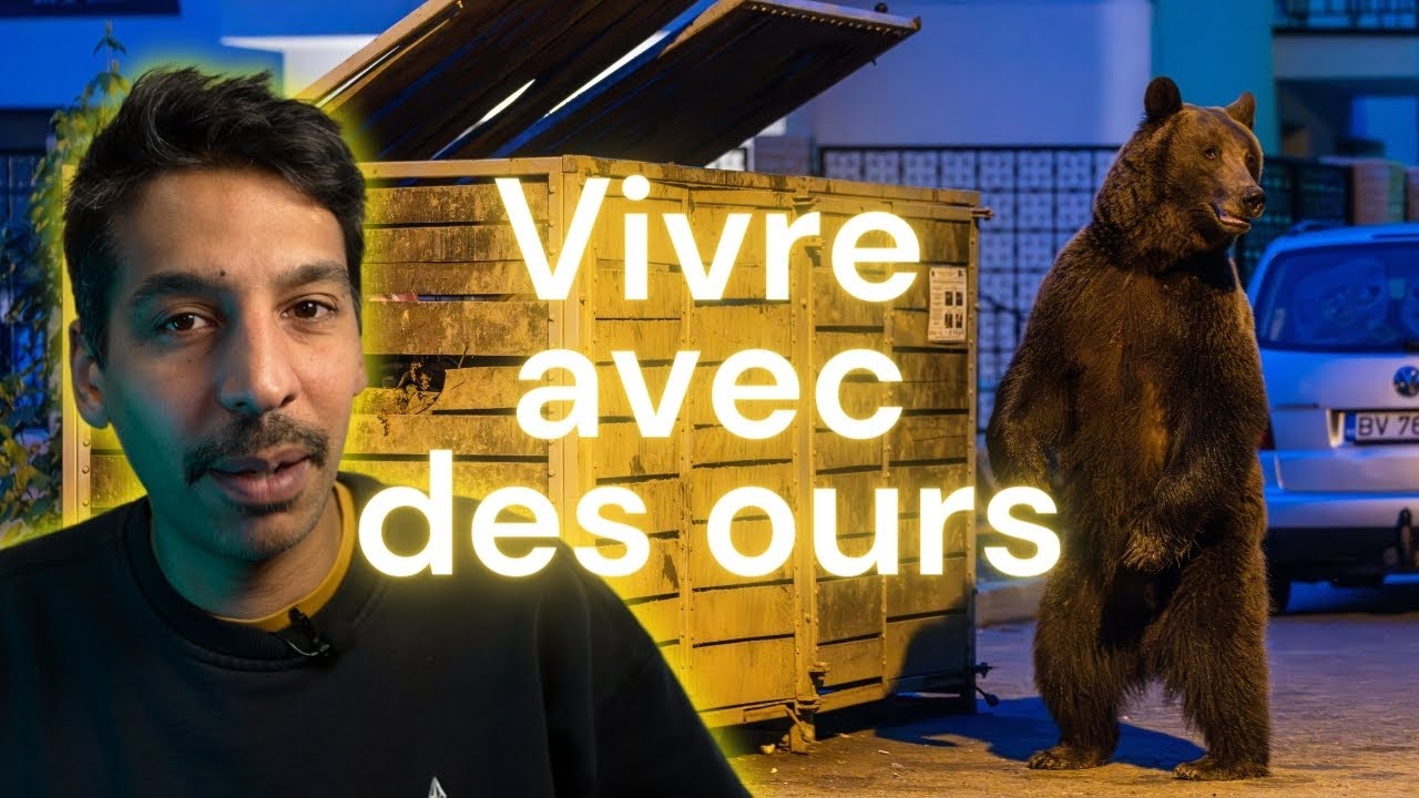 Des ours en pleine ville - SAUVAGE EP1