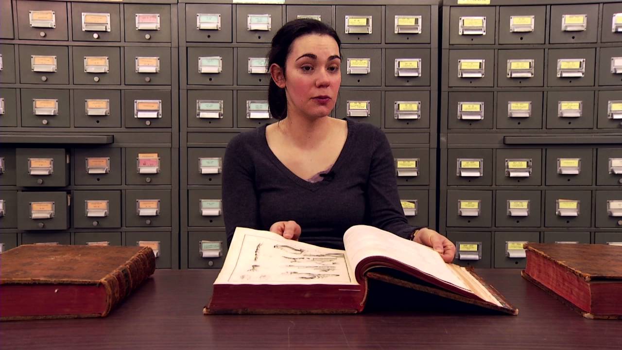Visite guidée au cœur de la collection des livres rares