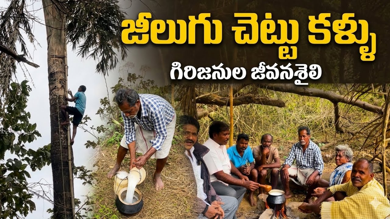 చెట్టు నుంచే జీవనం | జీలుగు చెట్టు కళ్ళు | గిరిజనుల ప్రకృతి సంప్రదాయం | #toddy #TribalLife