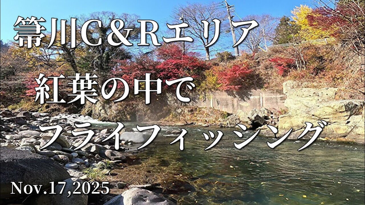 2025秋の箒川C＆Rエリア/夫婦でフライフィッシング/flyfishing