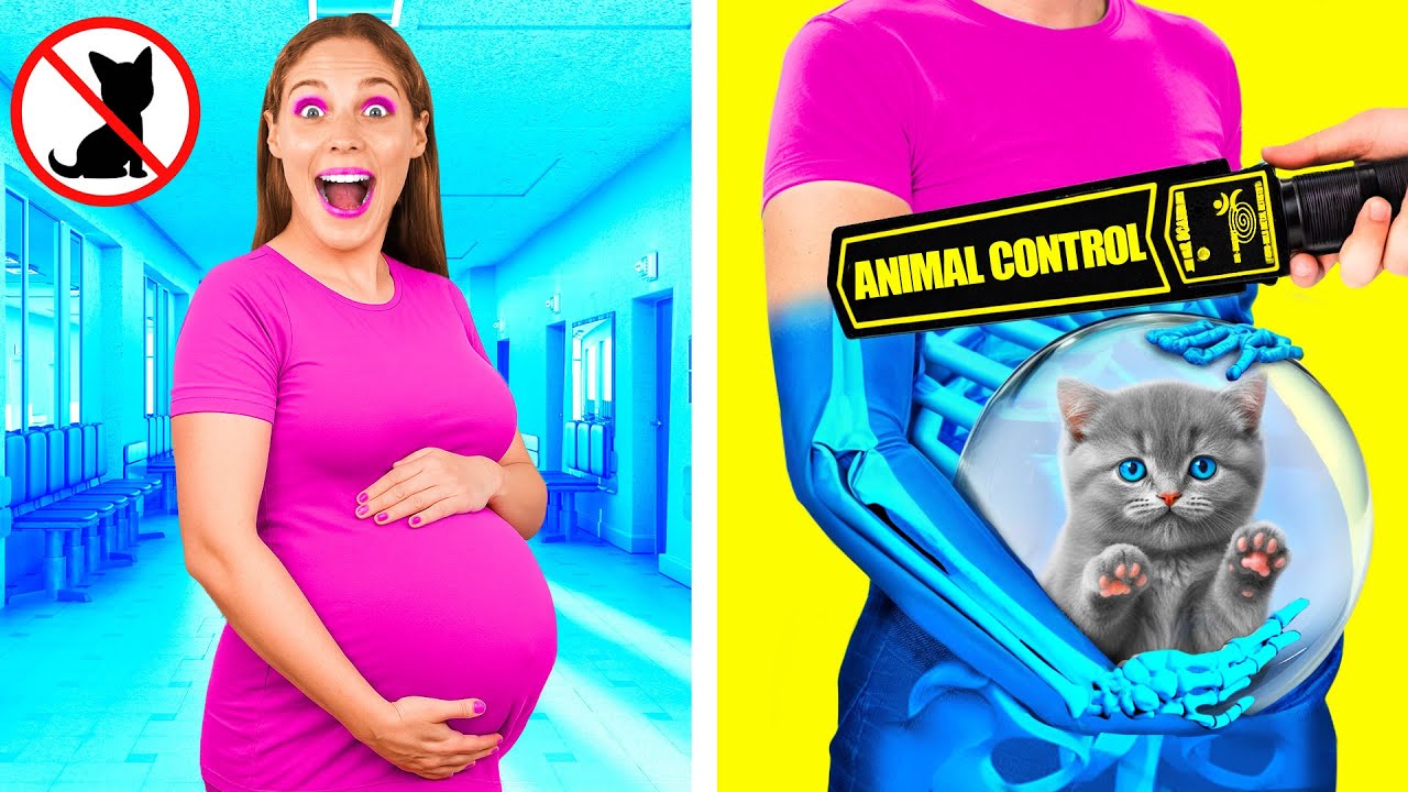 طرق مضحكة لتسلل الحيوانات الأليفة إلى المستشفى | من السهل المأجورون والأدوات السرية Fun Teen