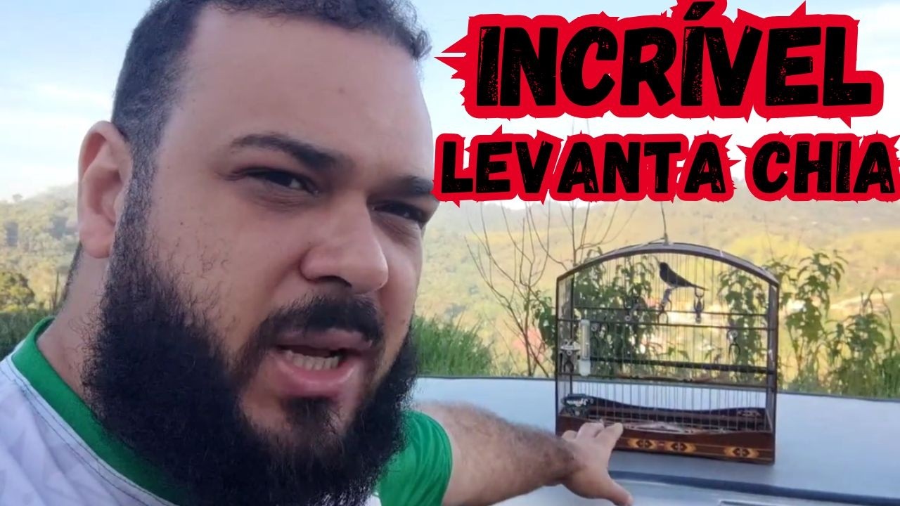 3 SEGREDOS PRA FOGUEAR COLEIRO PAPACSPIM