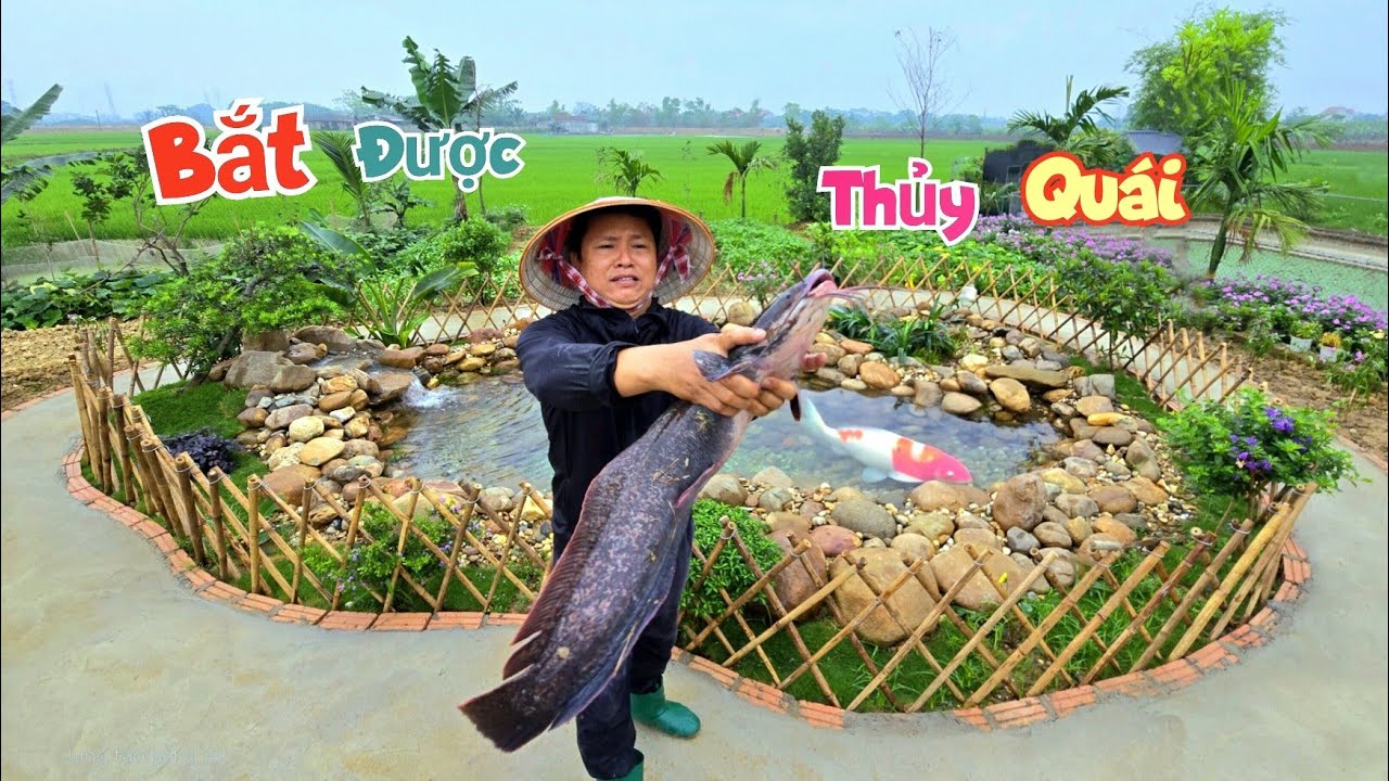 Chờ Thả Cá Koi Đi Nhấc Lờ - Bắt Được Con Thủy Quái Siêu To Khổng Lồ / Quế Nghịch