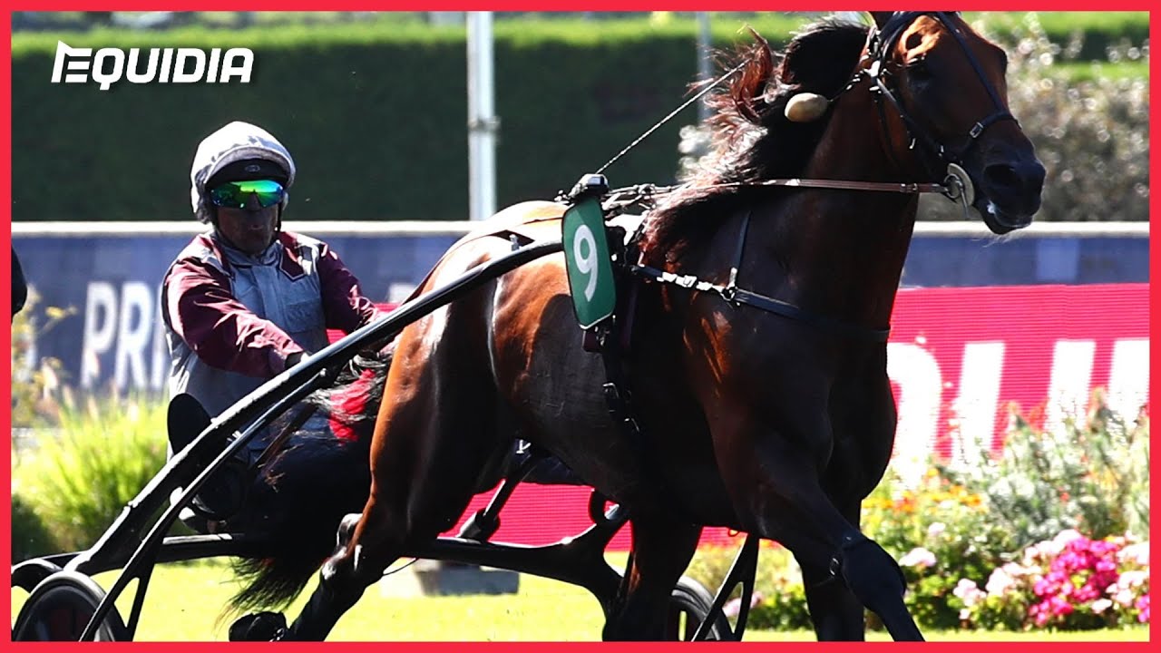 KOCTEL DU DAIN EN CHAMPION DANS LE PRIX ABEL BASSIGNY - CRITERIUM 3 ANS Q2 - GR.II - 19.08.23