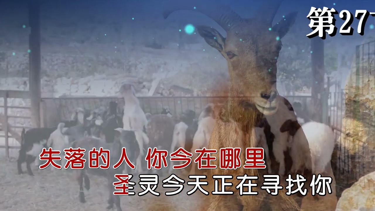 失迷的羊你今在哪里 第27首