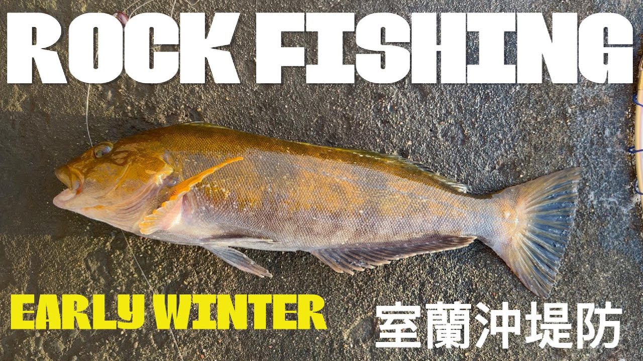 【室蘭沖堤防】ロックフィッシュ・アイナメ良型ゲット？【北海道釣り】【カレイング】