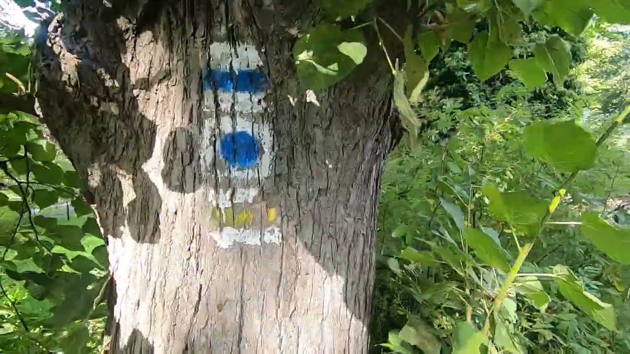 Europa Fernwanderweg E10 Ost von Zehdenick nach Dannenwalde (Ruppinger Landweg)