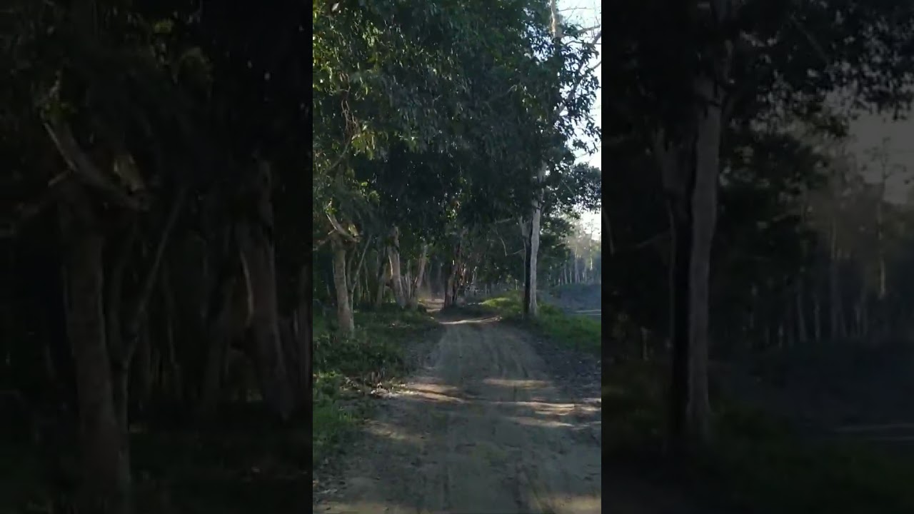 Kaziranga core area.