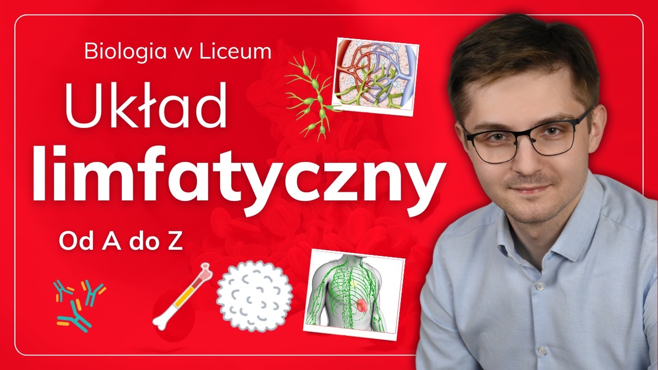 Układ limfatyczny od A do Z