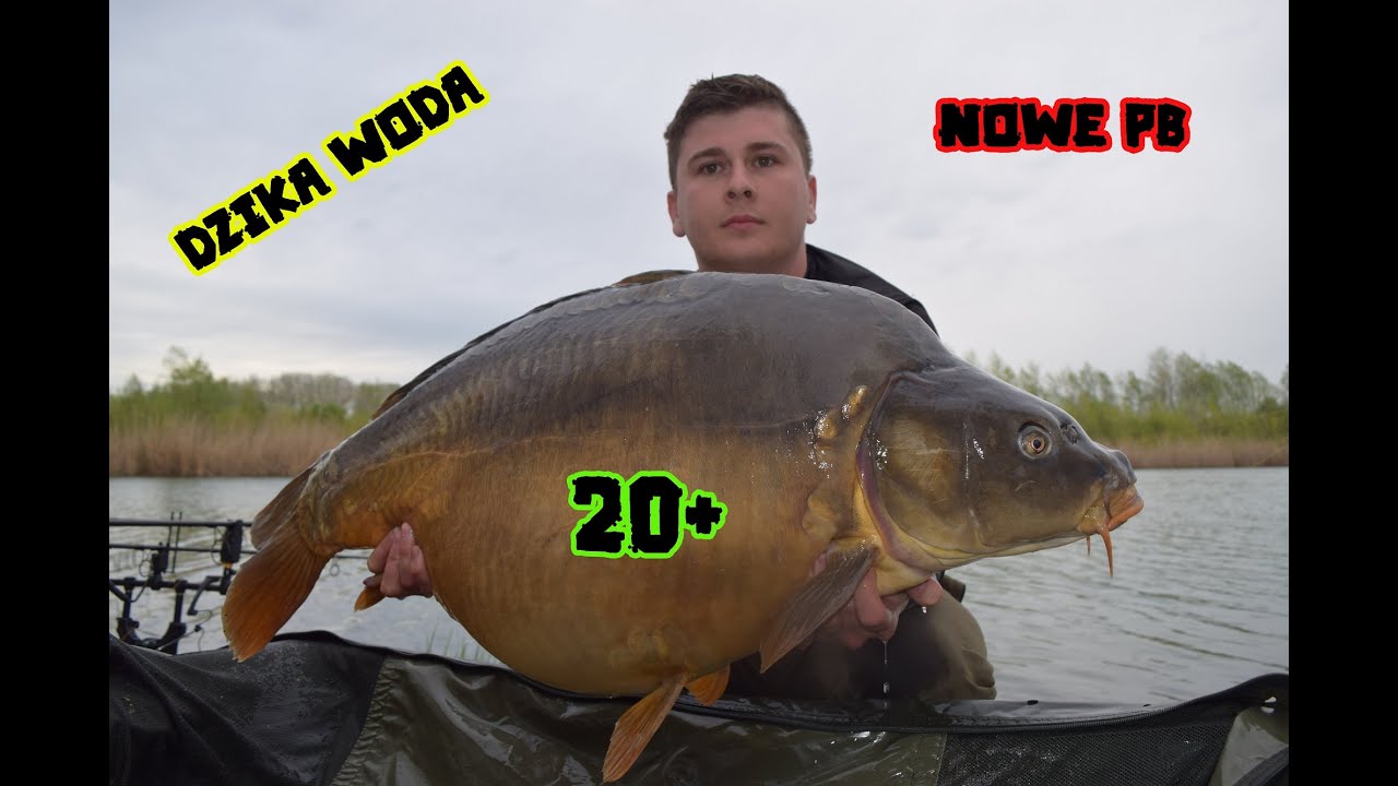 DZIKA WODA Maj 2021 Nowe PB 20+ kg