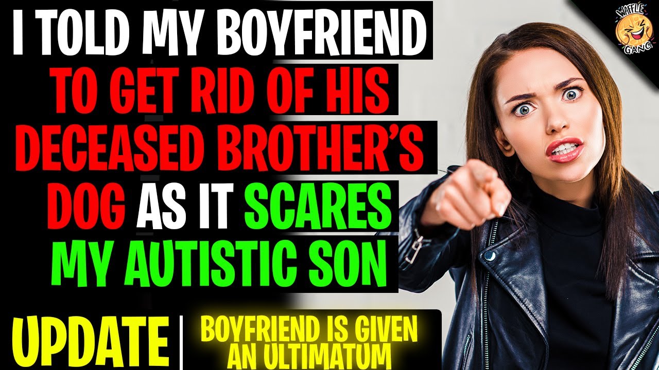 I Told My Boyfriend To Get Rid Of His Dog As It Scares My Son r/Relationships