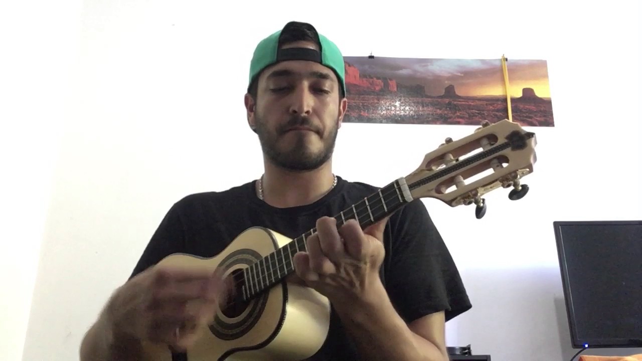 Samba Salgueiro 2017 (Cavaco)